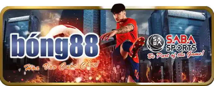 Các lựa chọn cá cược đá gà tại Combet
